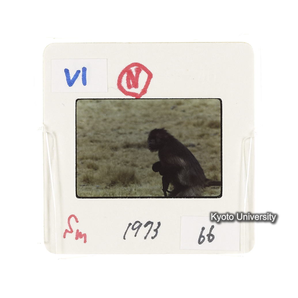 Sm　1973　66　（N）[赤色, 丸囲み] (2)