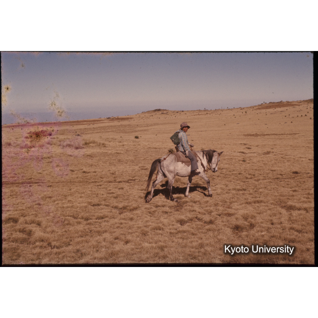 Sm　1973　1116 (1)