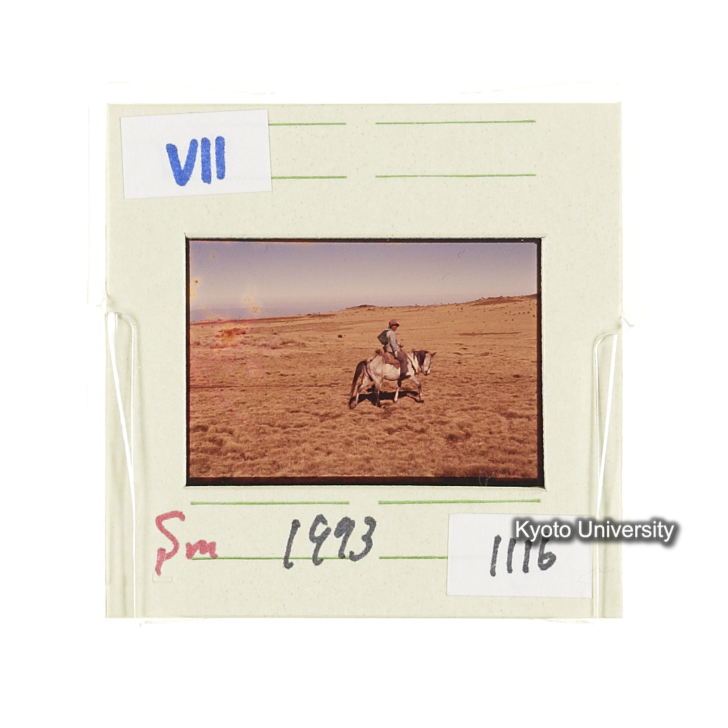 Sm　1973　1116 (2)