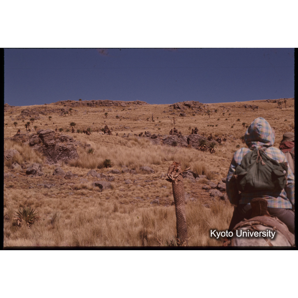 Sm　1973　1226 (1)