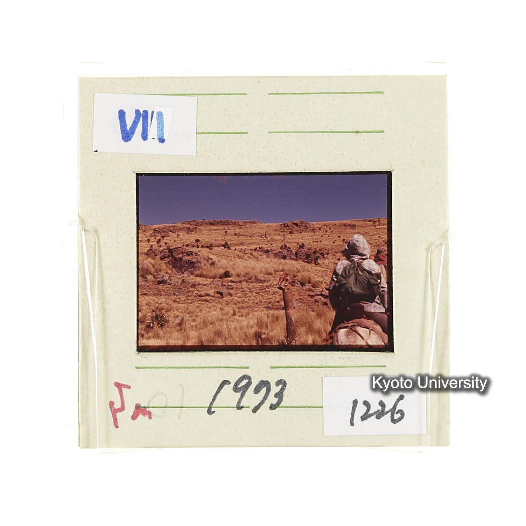 Sm　1973　1226 (2)