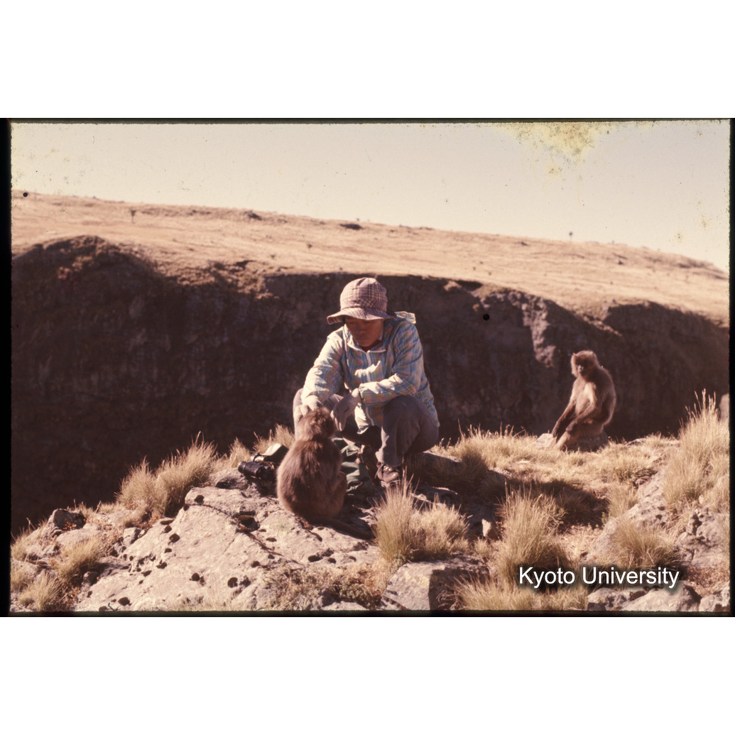 Sm　1973　1372 (1)