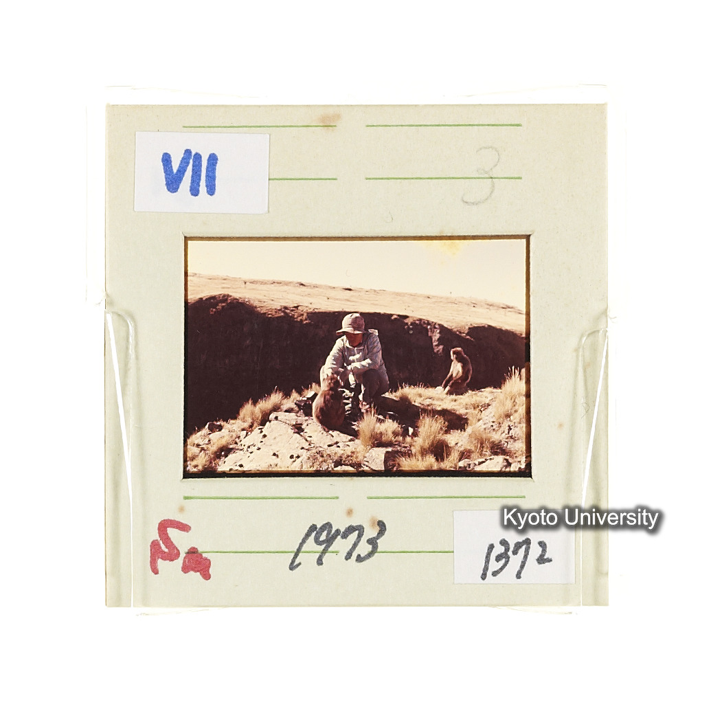 Sm　1973　1372 (2)