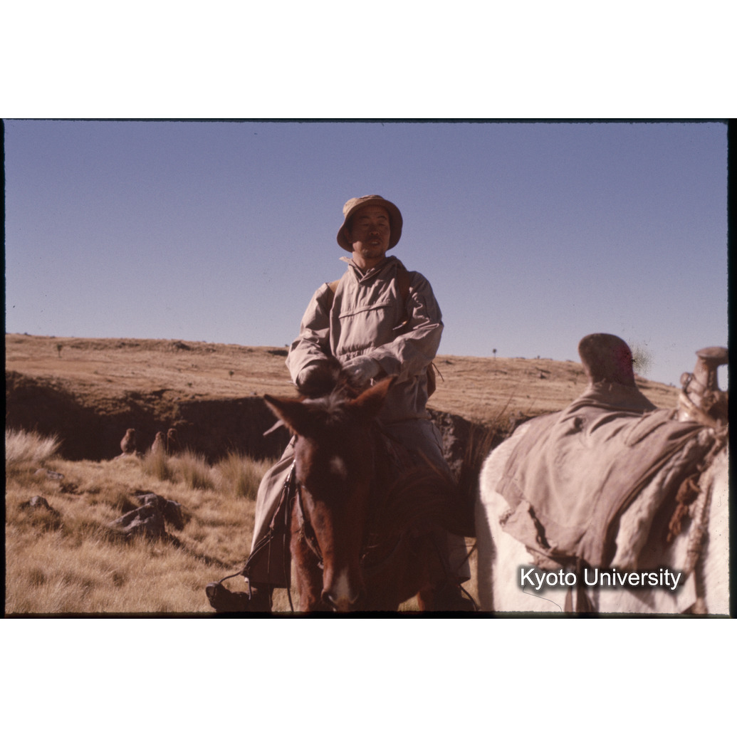 Sm　1973　1494 (1)