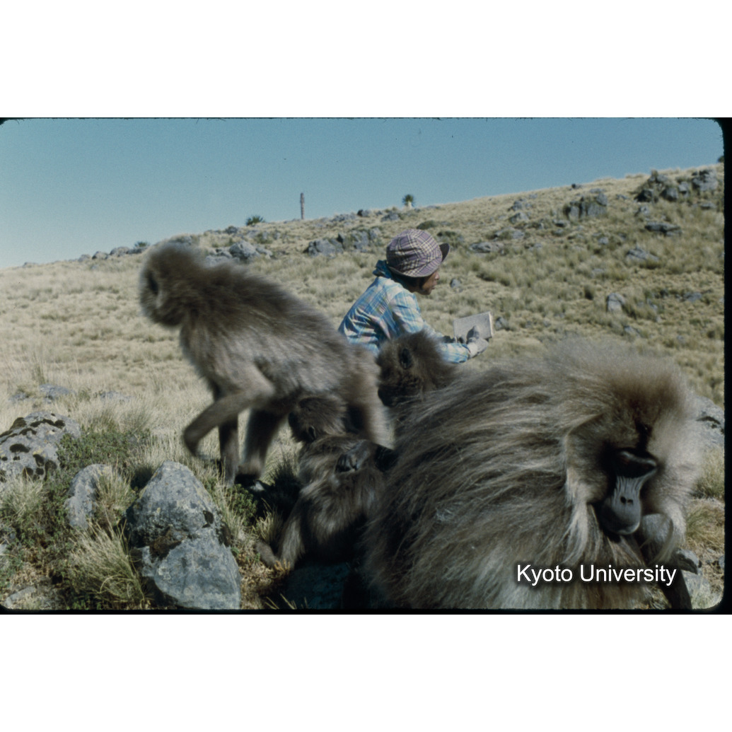 Sm　1973　5　（N）[赤色, 丸囲み] (1)