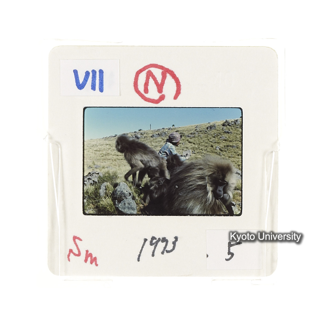 Sm　1973　5　（N）[赤色, 丸囲み] (2)