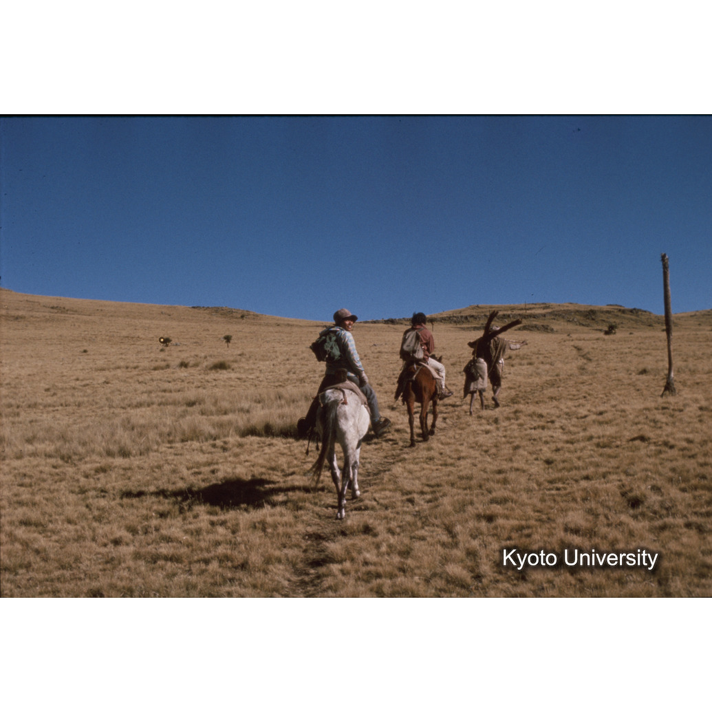 Sm　1973　81　（N）[赤色, 丸囲み] (1)