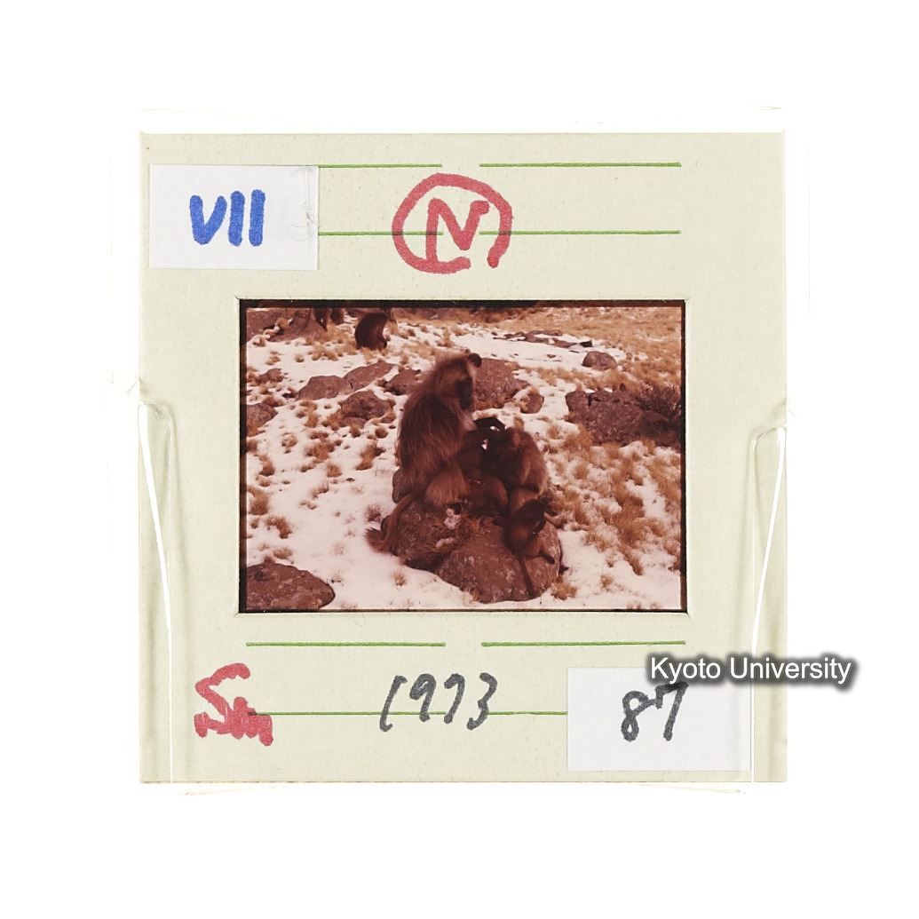 Sm　1973　87　（N）[赤色, 丸囲み] (2)