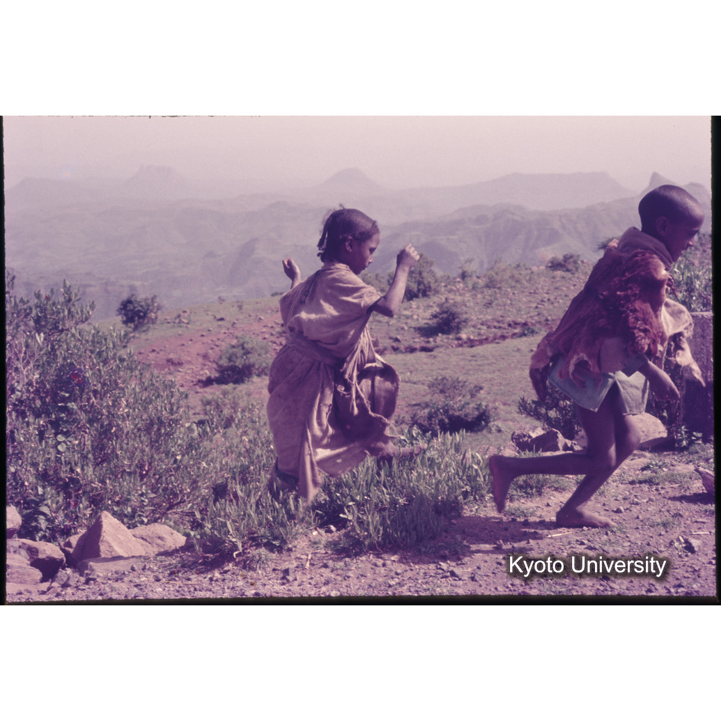 Sm　1973　1091 (1)