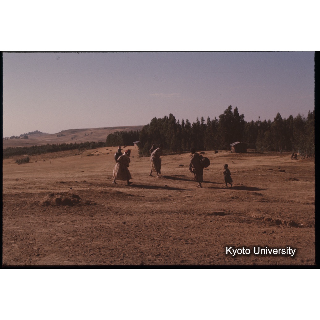 Sm　1973　1438 (1)