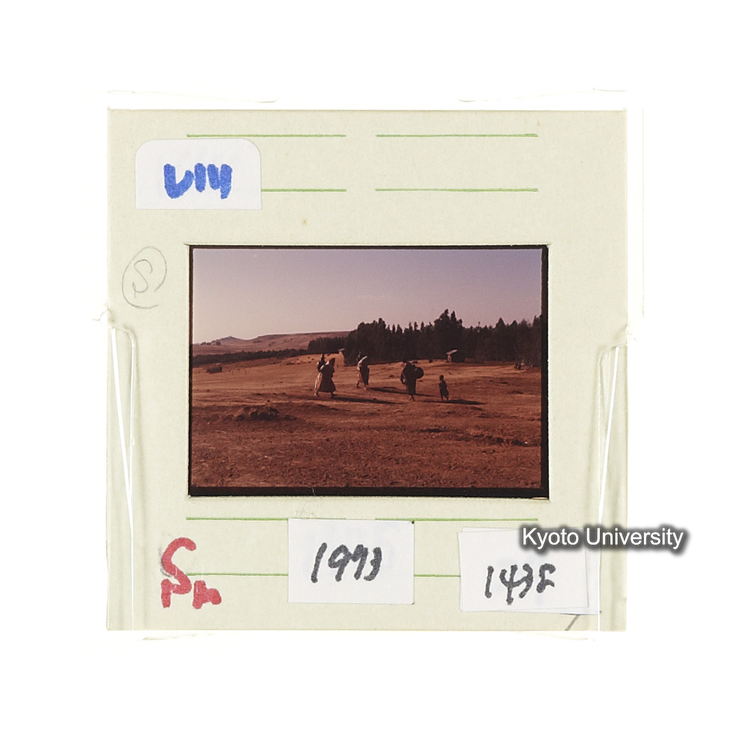 Sm　1973　1438 (2)