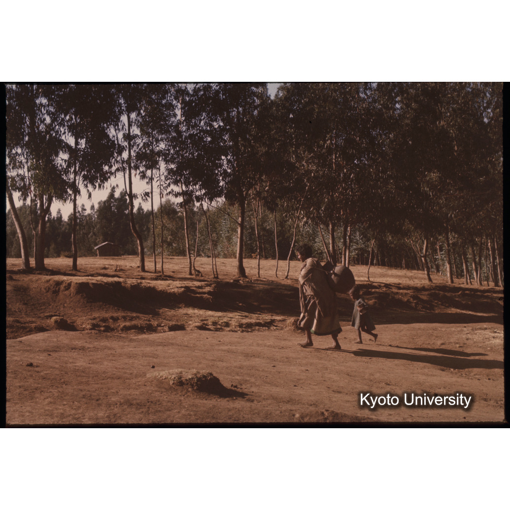 Sm　1973　1139 (1)