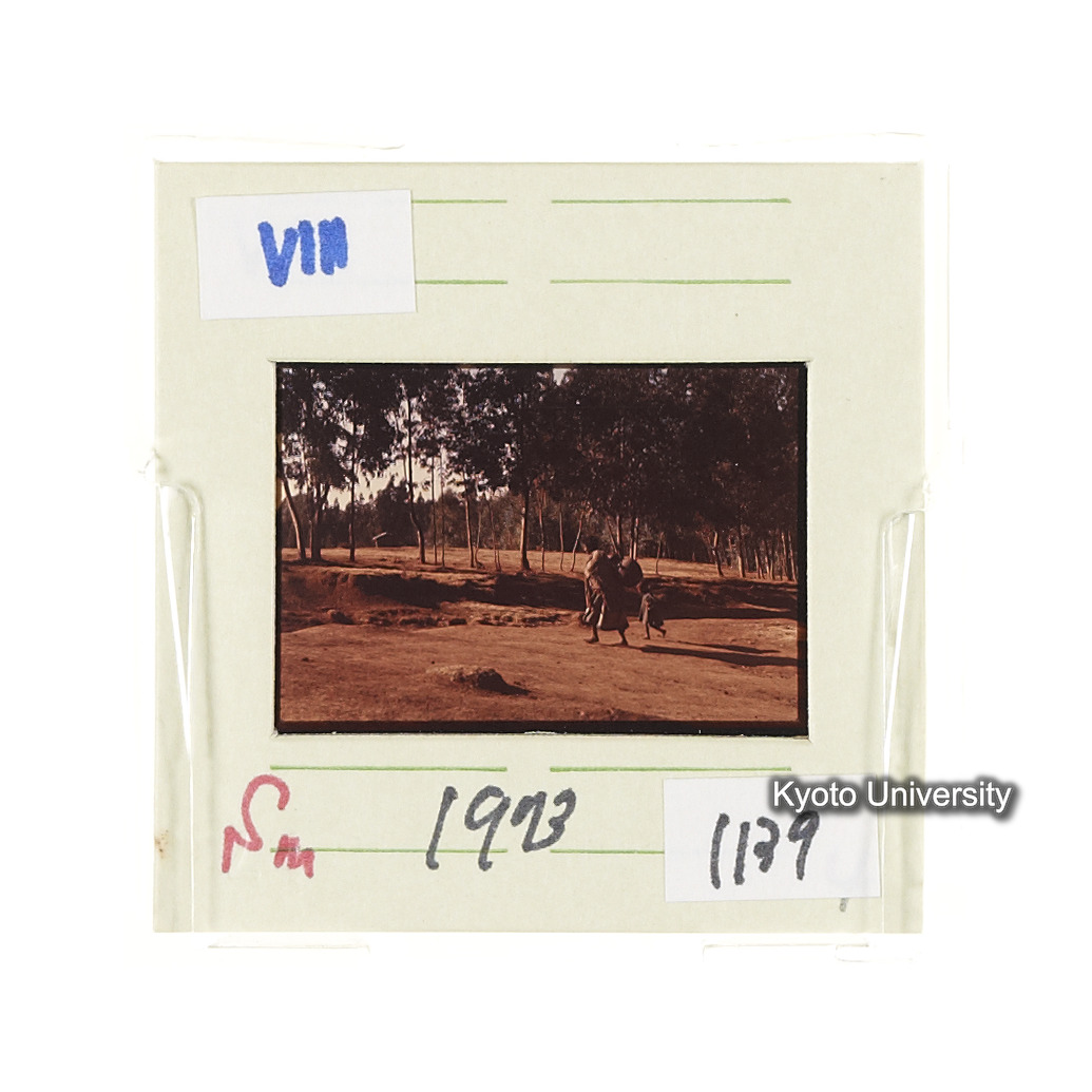 Sm　1973　1139 (2)