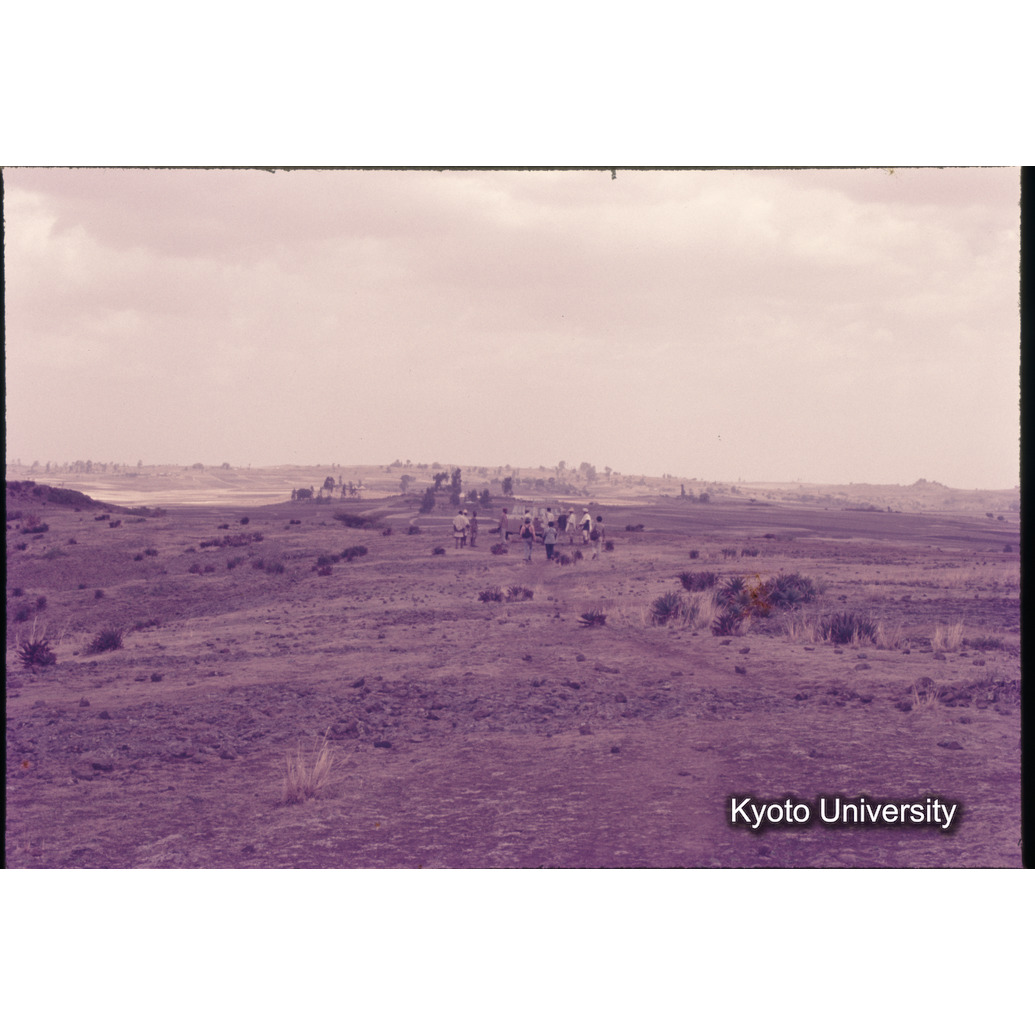 Sm　1973　1140 (1)