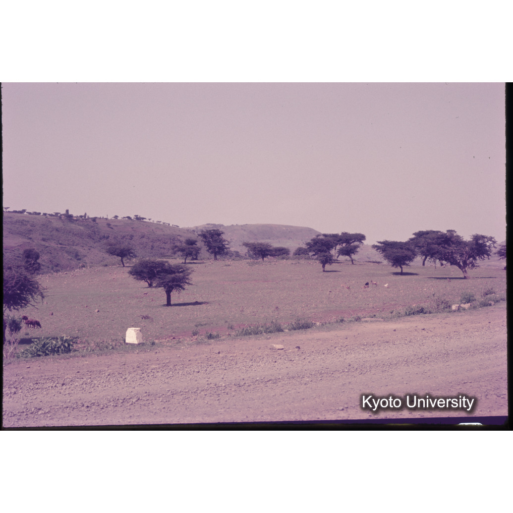 Sm　1973　1108 (1)