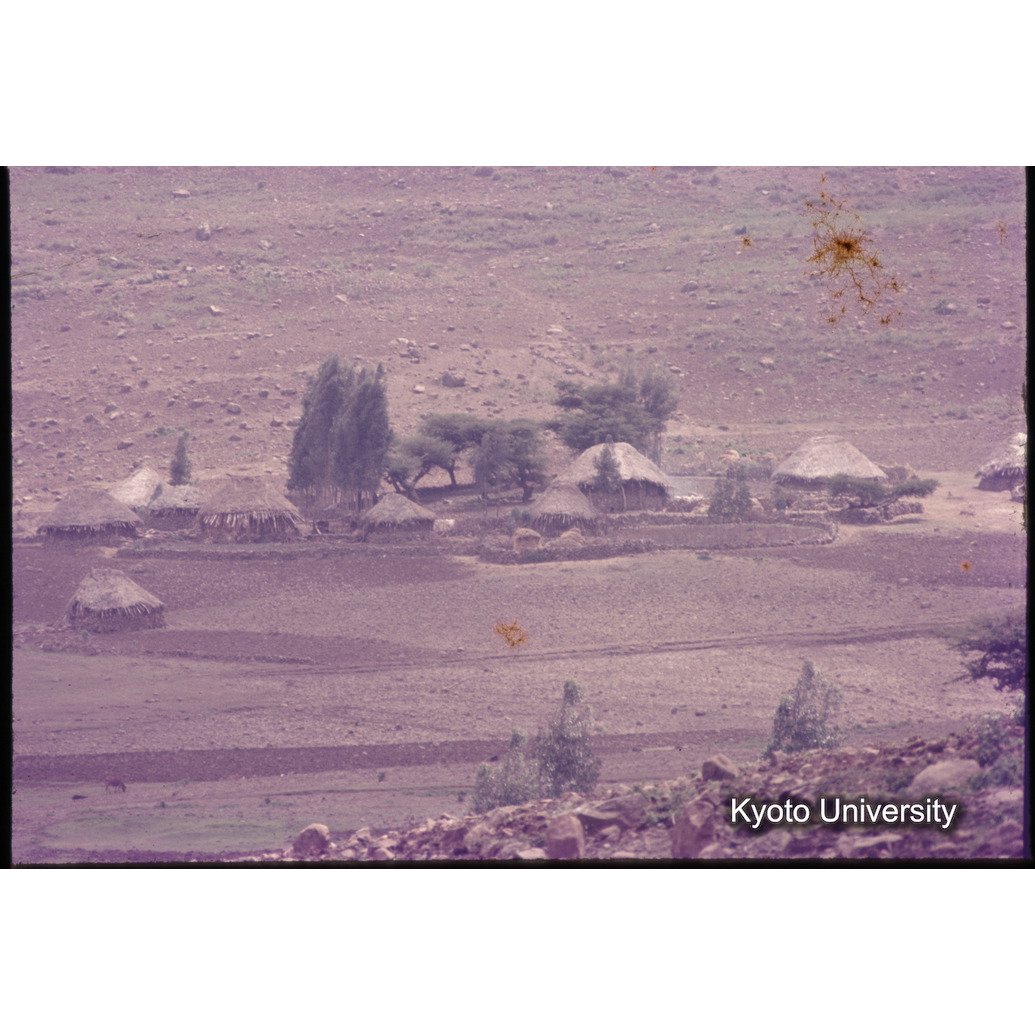 Sm　1973　1110 (1)