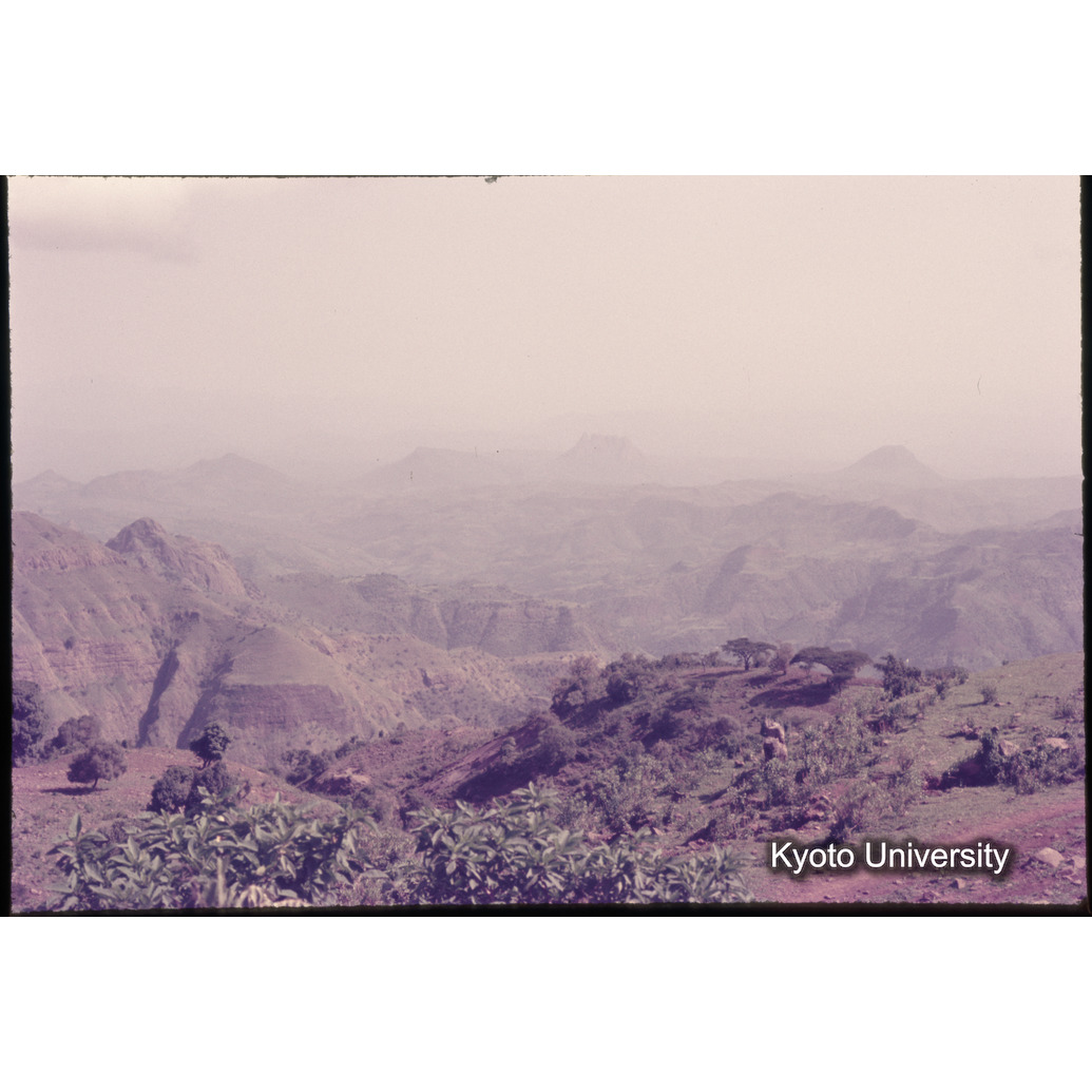 Sm　1973　1100 (1)