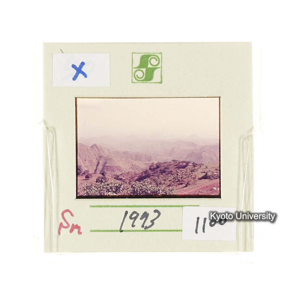 Sm　1973　1100 (2)