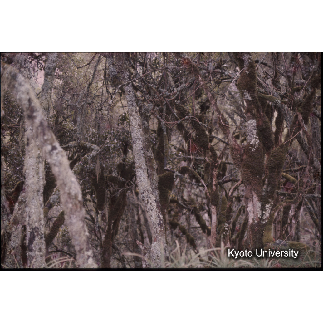 Sm　1973　1508 (1)