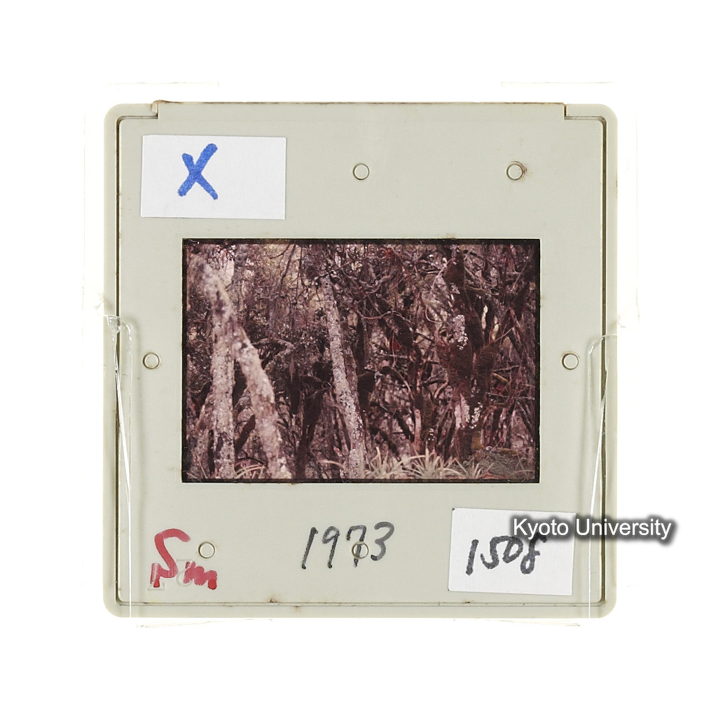 Sm　1973　1508 (2)