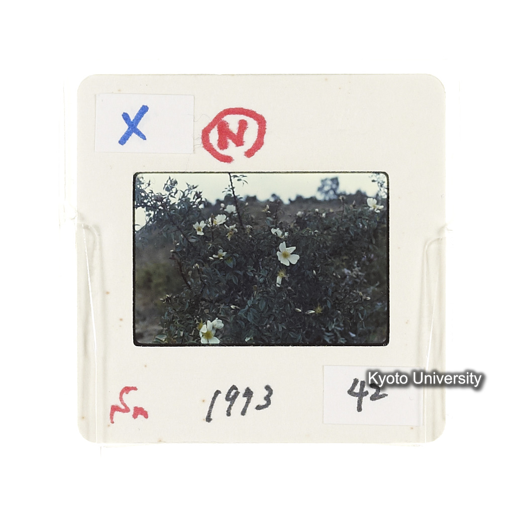 Sm　1973　42　（N）[赤色, 丸囲み] (2)