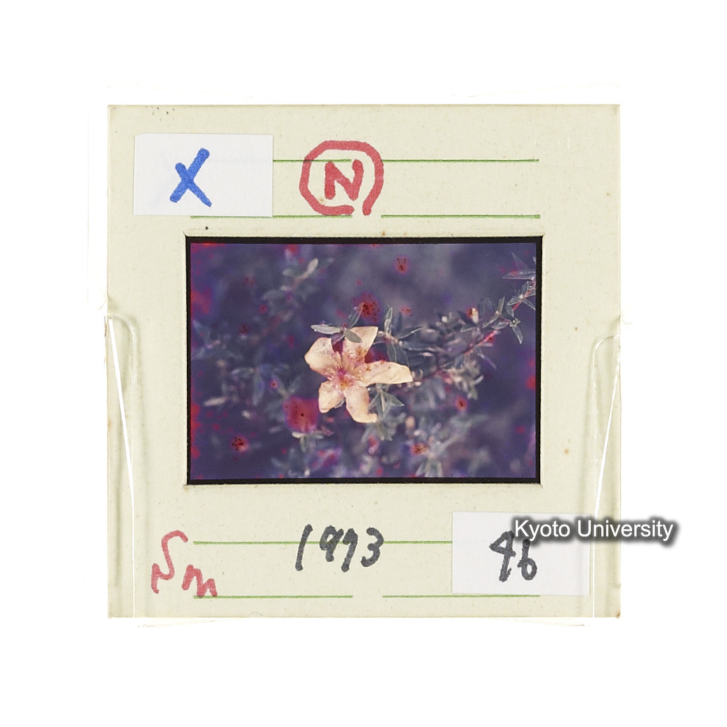 Sm　1973　46　（N）[赤色, 丸囲み] (2)