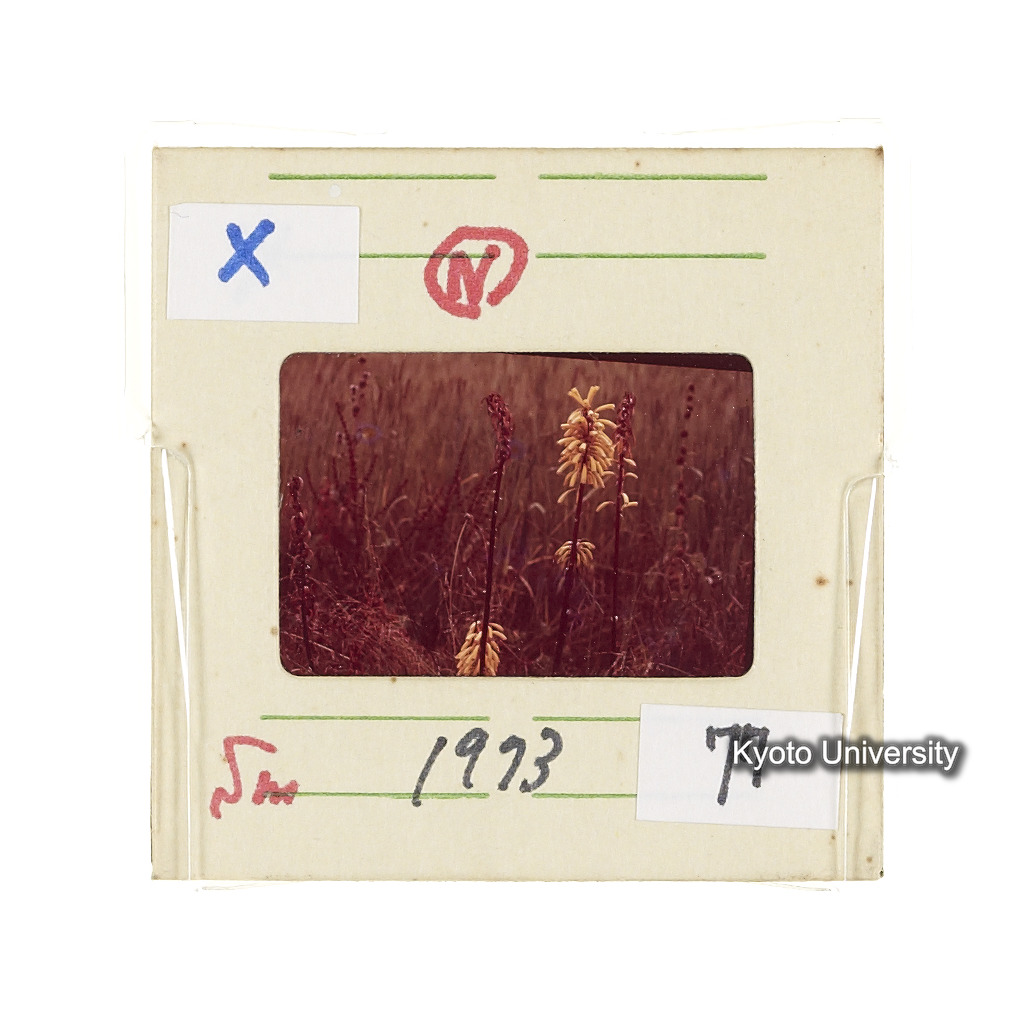 Sm　1973　77　（N）[赤色, 丸囲み] (2)