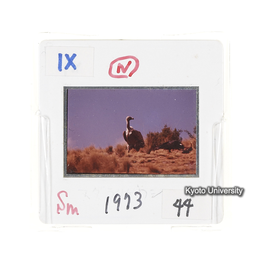 Sm　1973　44　（N）[赤色, 丸囲み] (2)