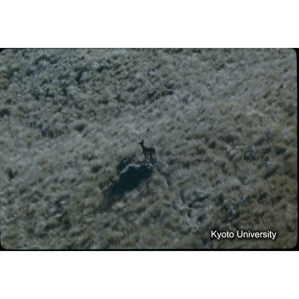 Sm　1973　58　（N）[赤色, 丸囲み] (1)