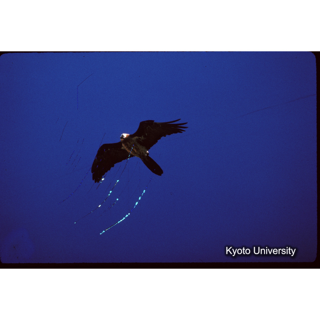 Sm　1973　72　（N）[赤色, 丸囲み] (1)