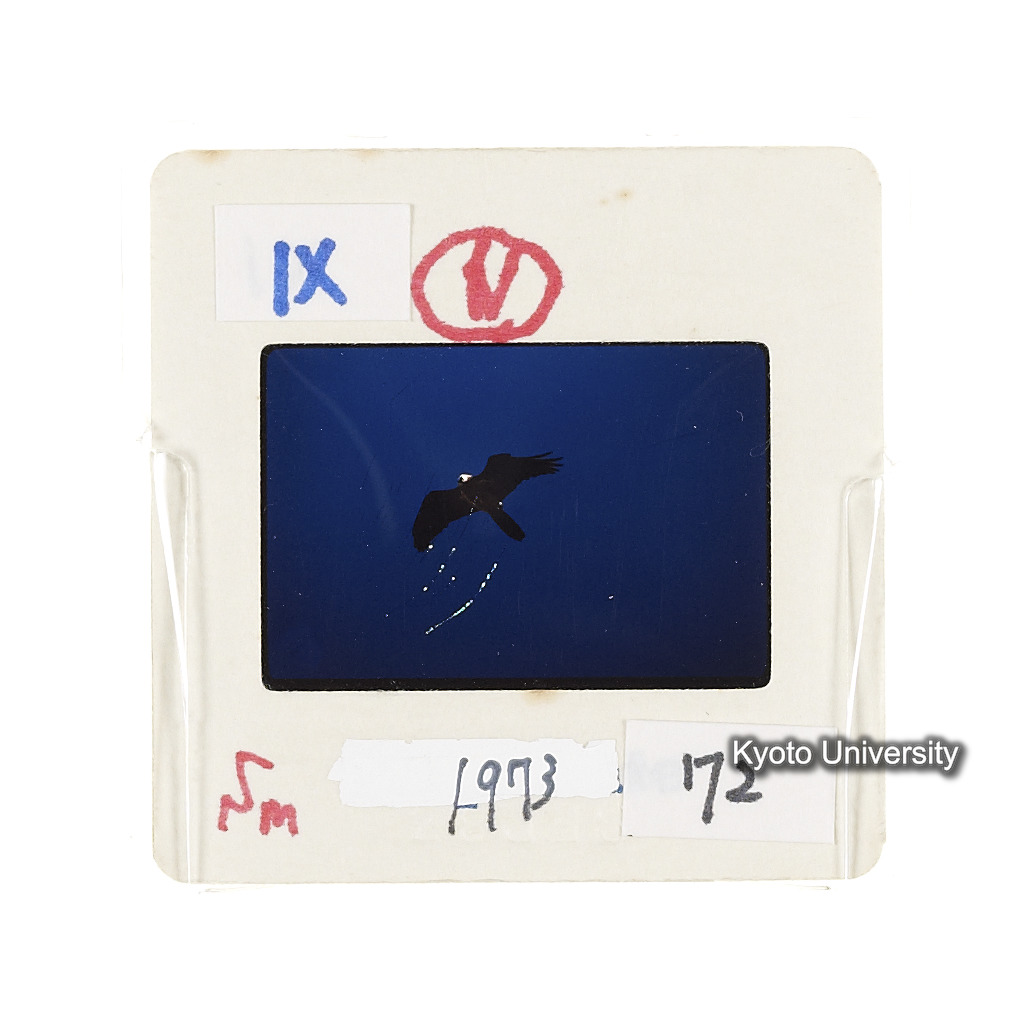 Sm　1973　72　（N）[赤色, 丸囲み] (2)