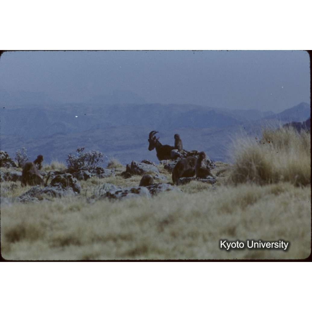 Sm　1973　73　（N）[赤色, 丸囲み] (1)