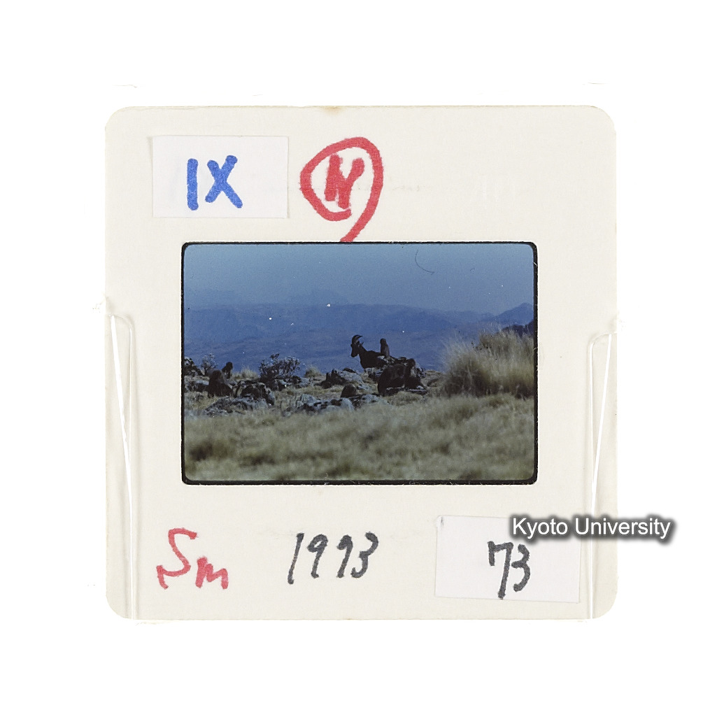 Sm　1973　73　（N）[赤色, 丸囲み] (2)