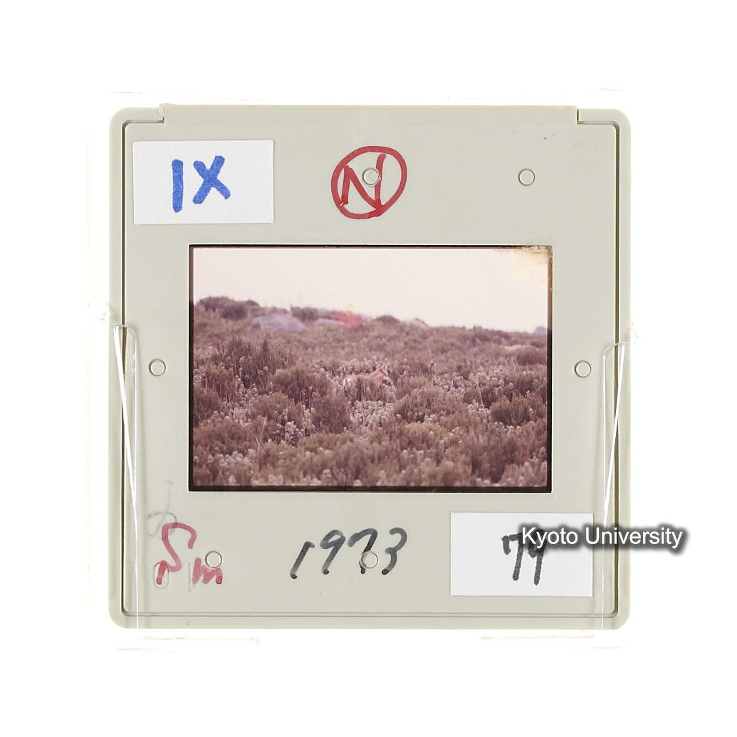 Sm　1973　79　（N）[赤色, 丸囲み] (2)