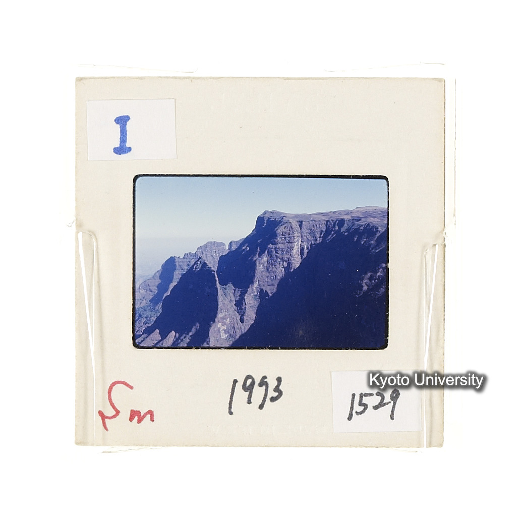 Sm　1973　1529 (2)