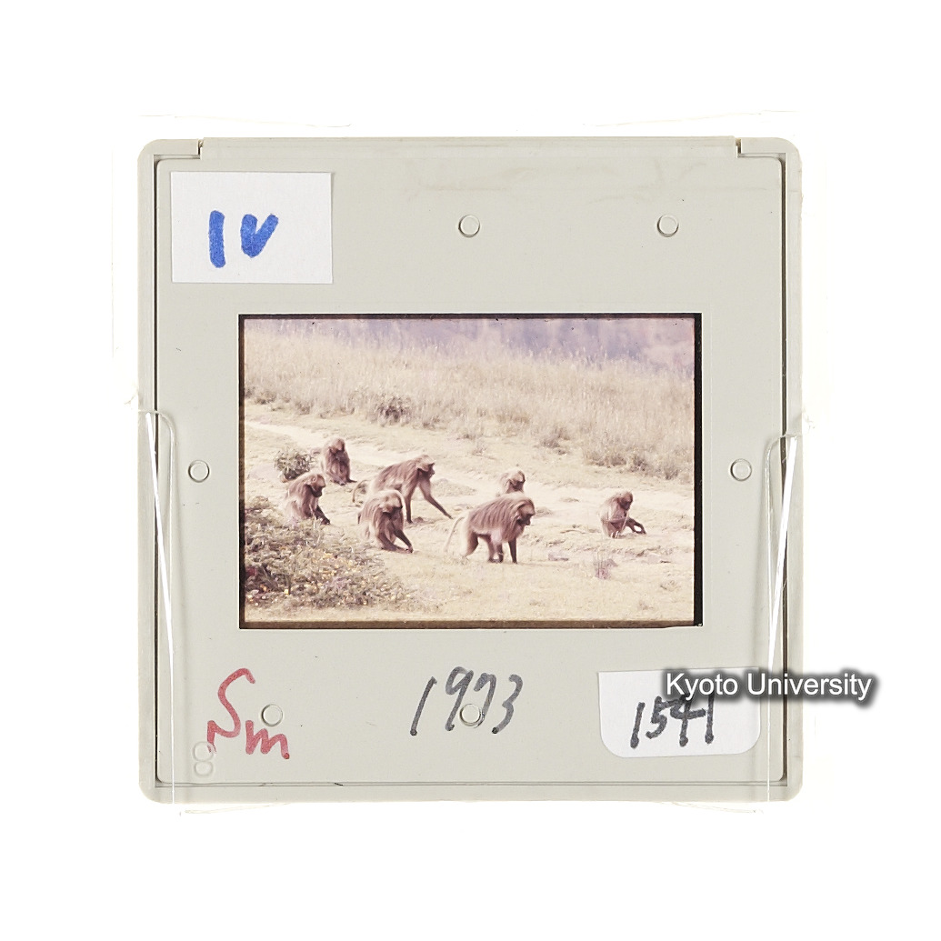 Sm　1973　1541 (2)