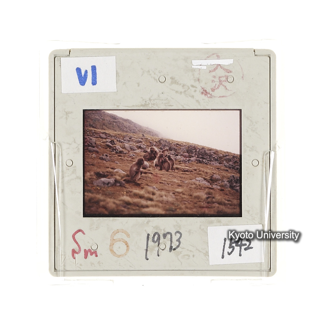 Sm　1973　1542 (2)