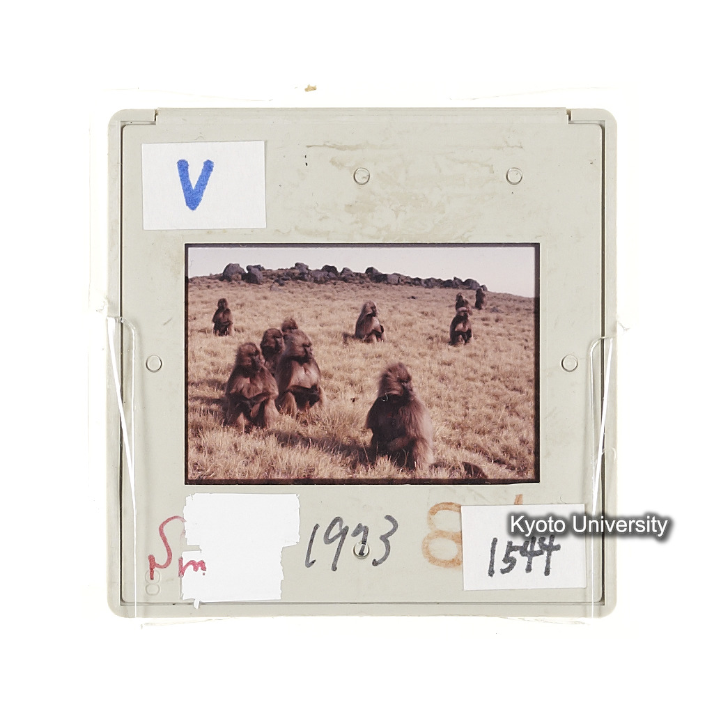 Sm　1973　1544 (2)