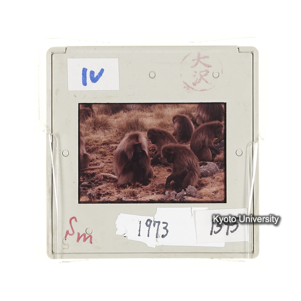 Sm　1973　1545 (2)