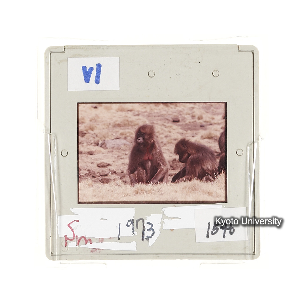 Sm　1973　1546 (2)