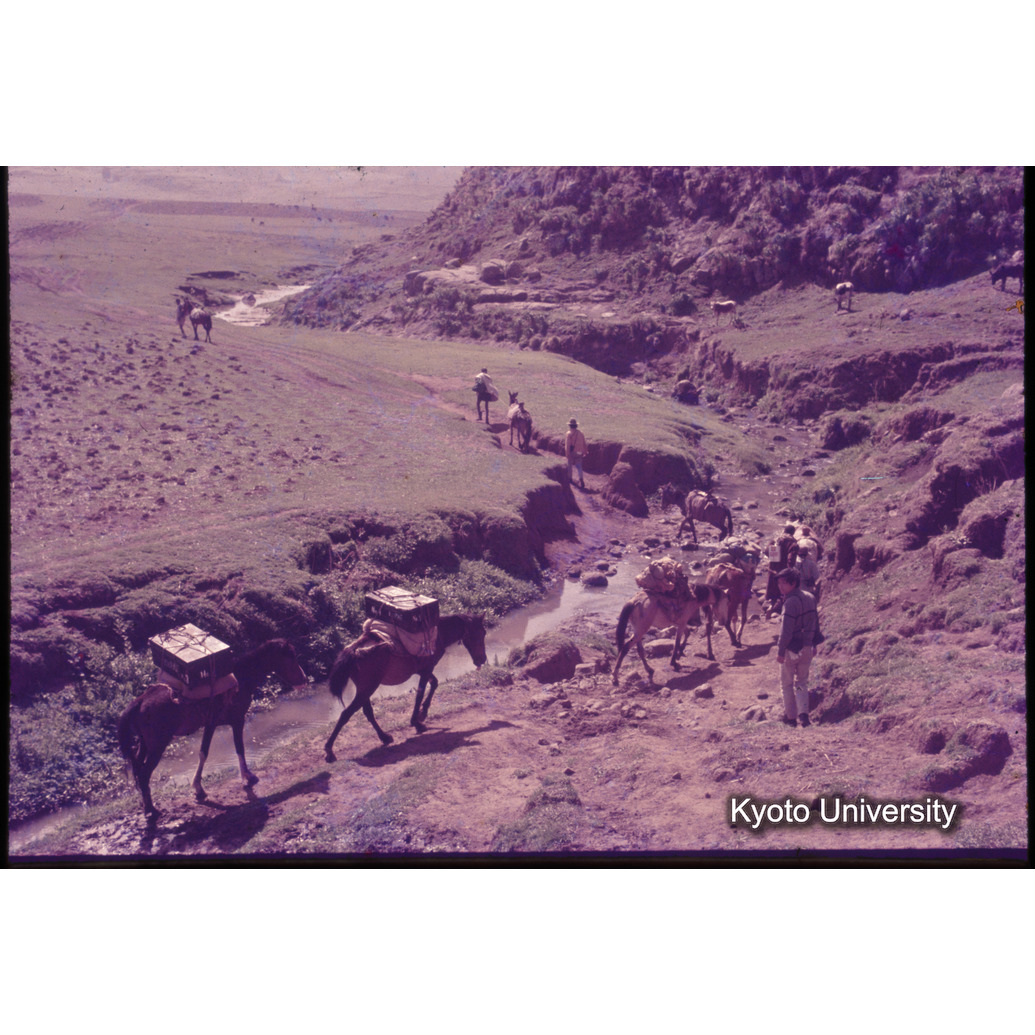 Sm　1973　1548 (1)