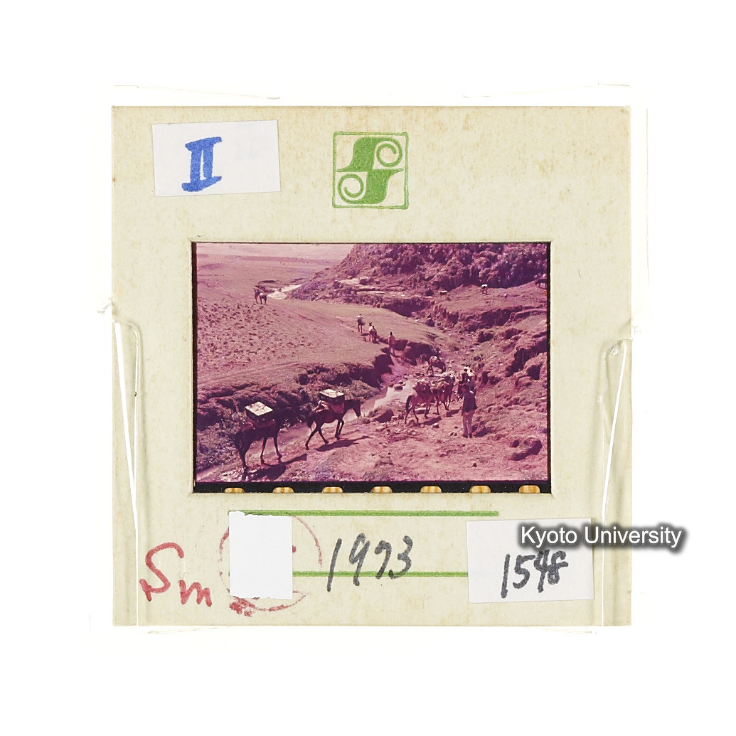 Sm　1973　1548 (2)