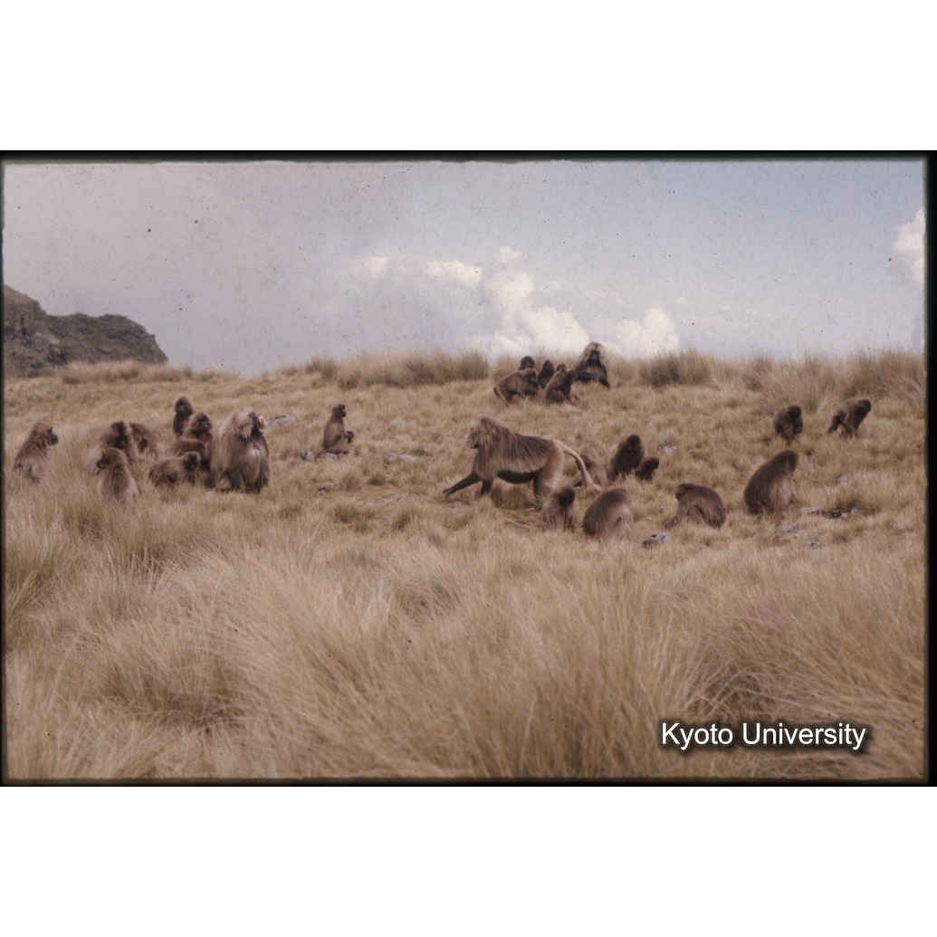 Sm　1973　1549 (1)