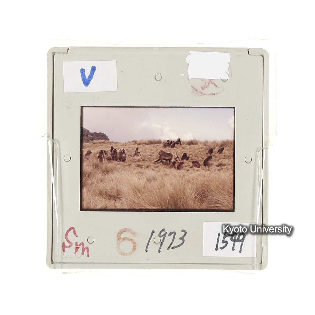 Sm　1973　1549 (2)