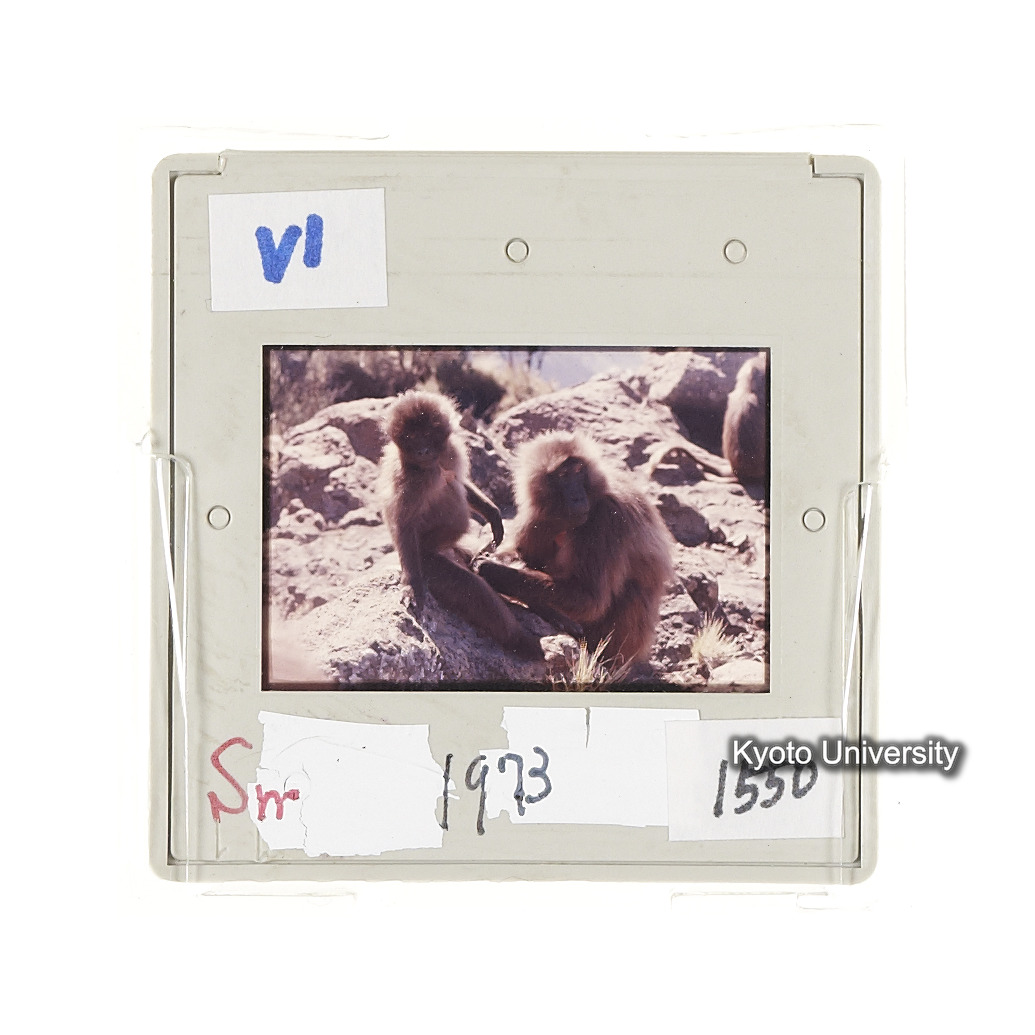 Sm　1973　1550 (2)