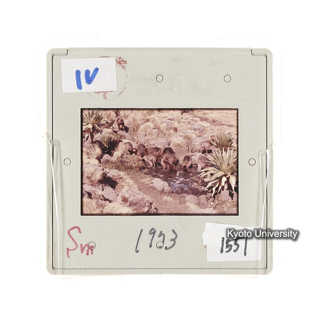 Sm　1973　1551 (2)