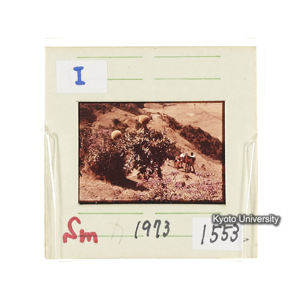 Sm　1973　1553 (2)