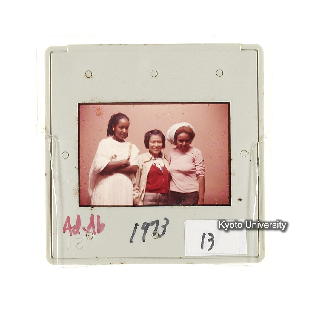 AdAb　1973　13 (2)