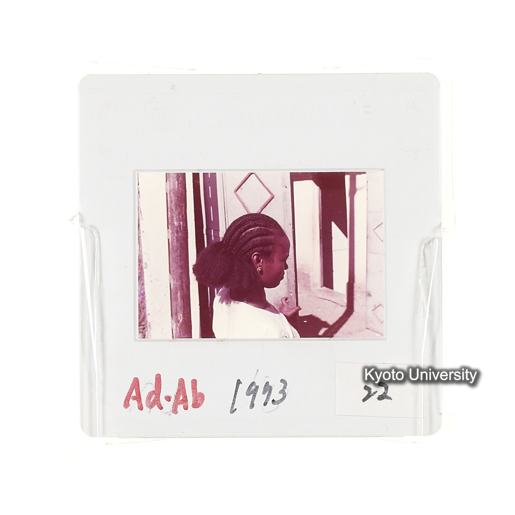 AdAb　1973　22 (2)