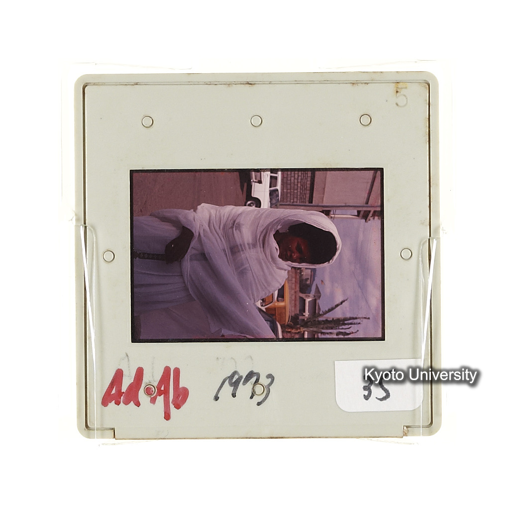 AdAb　1973　35 (2)